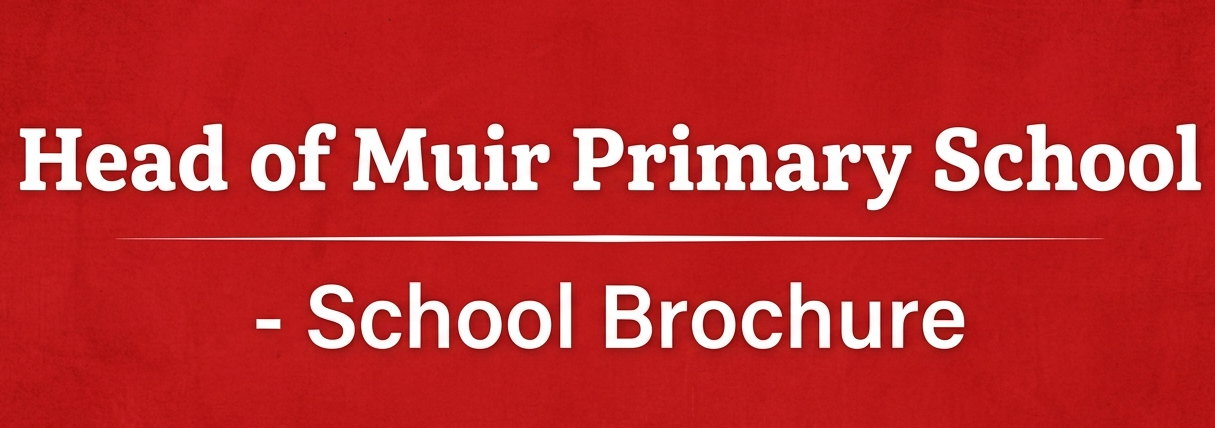 School Brochure